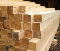 北京金润静雅竹木经销部 长期销售优质绿化用杉木杆与竹竿