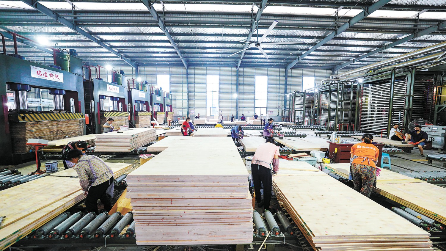 从绿水青山到金山银山 贵州榕江如何将杉木打造成富民强县大产业