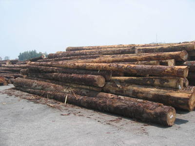 兴安惠民网黄页信息 一站式了解当地各种规格木材销售渠道与选购指南