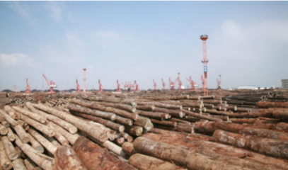 我国木材交易市场的形成与发展历程