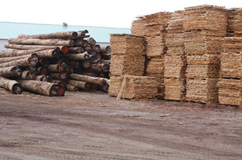 沂水锨把木材销售 品质与工艺的完美结合